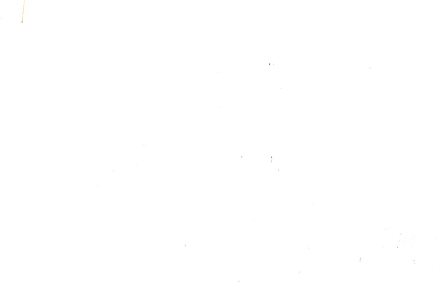 Image 31